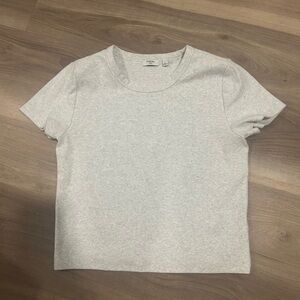Aritzia Gray Short Sleeve Tee